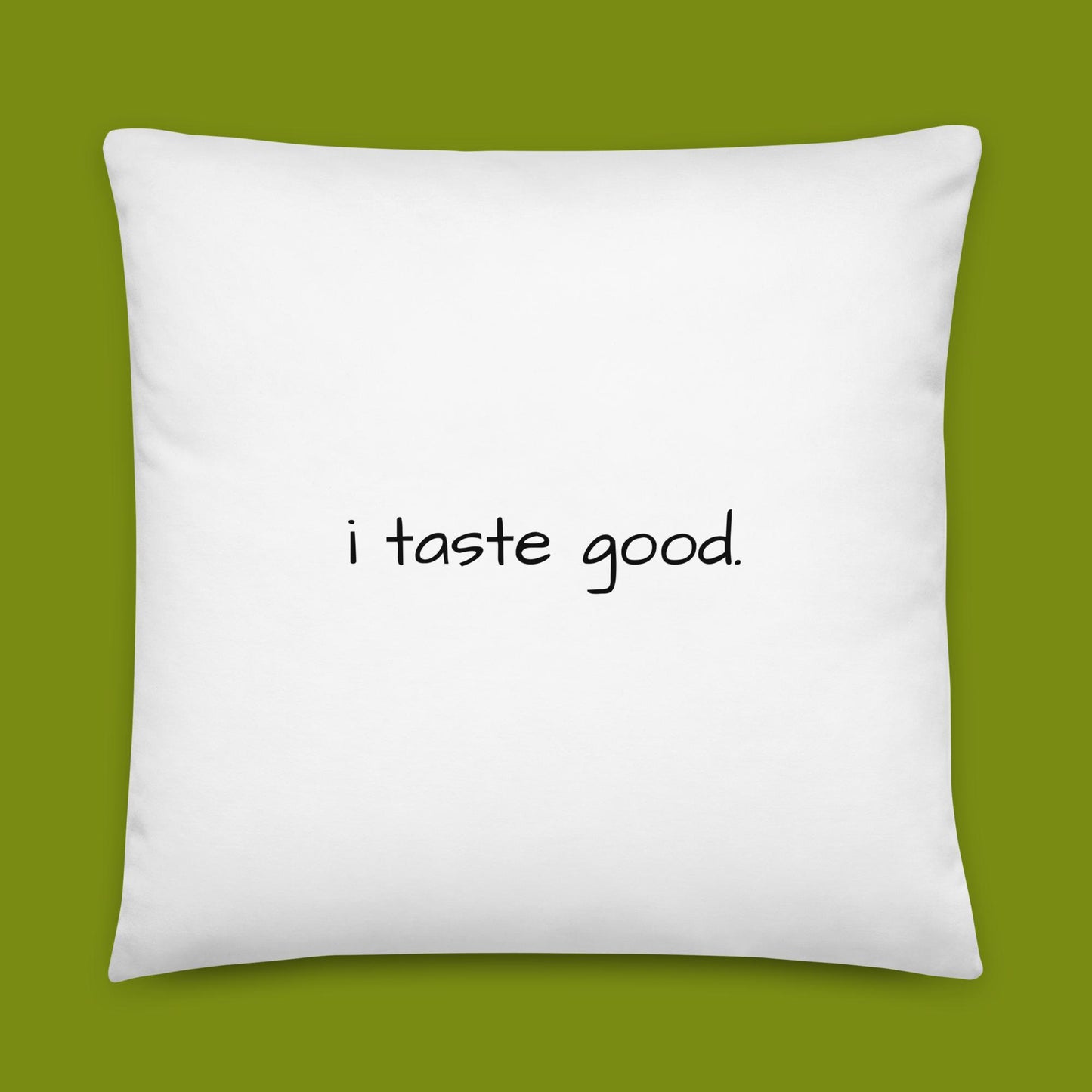 hamburgher (22 x 22 in. pillow)