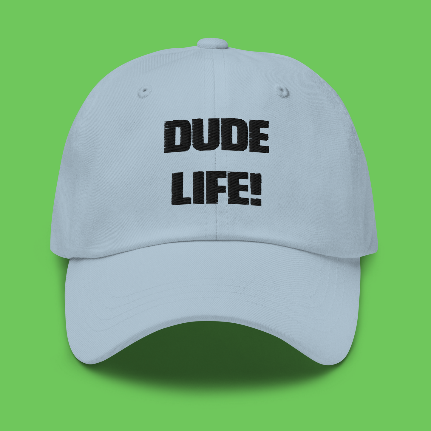 dude life what (hat)