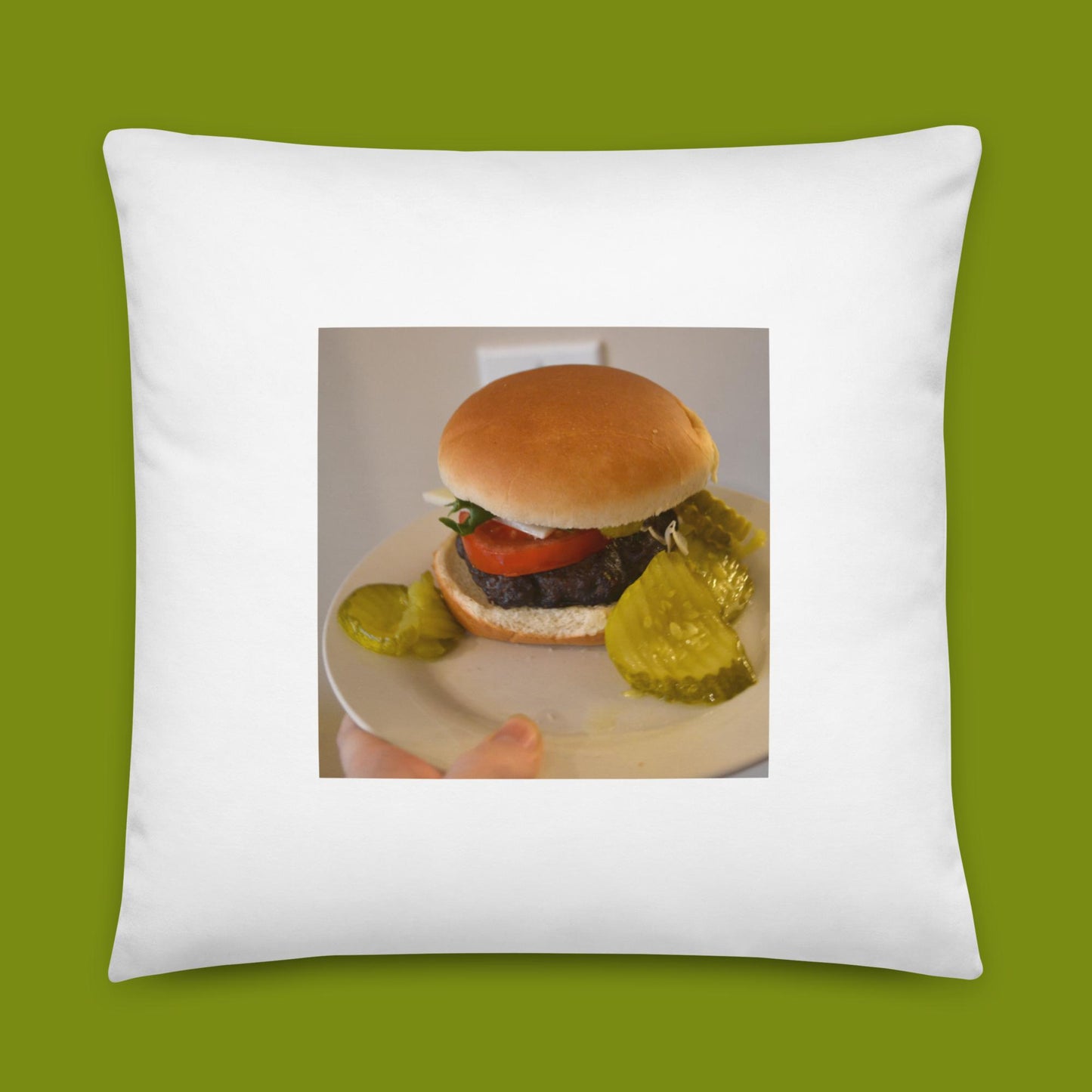 hamburgher (22 x 22 in. pillow)