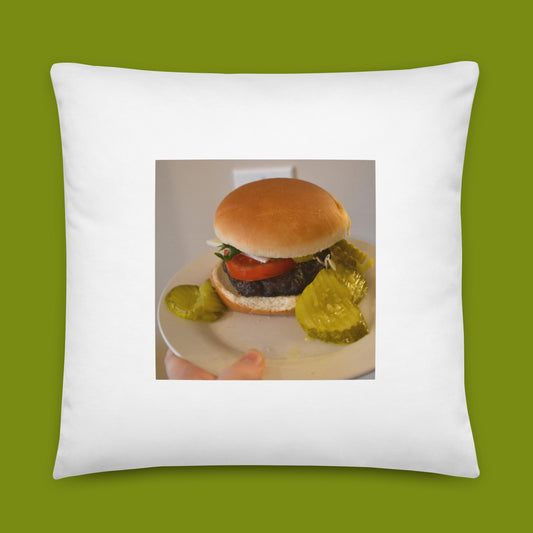 hamburgher (22 x 22 in. pillow)